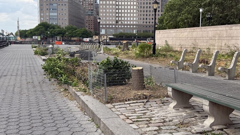 The esplanade at North Cove with its planting beds cut to stumps behind mesh fencing, concrete bench ends standing without their slats, office towers behind