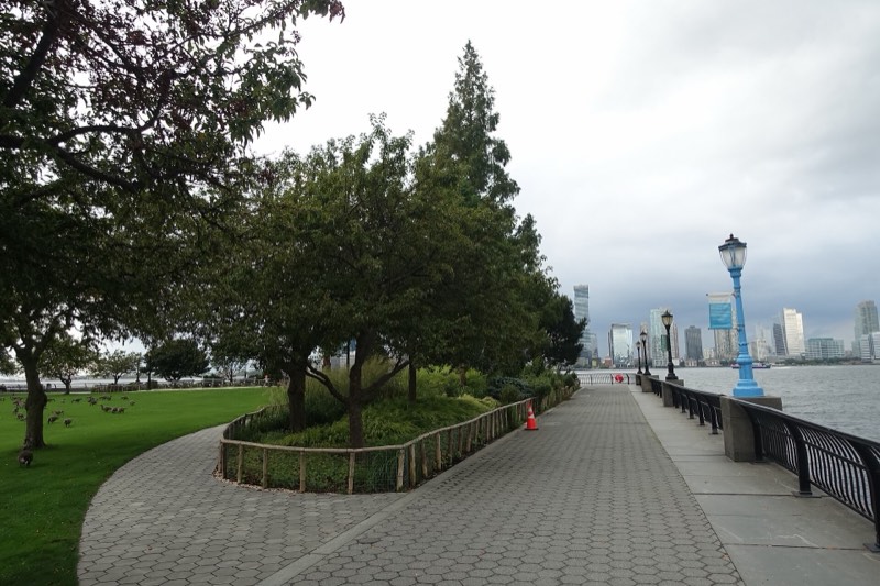 Rockefeller Park's North Meadow on a grey September day, geese on the lawn, a planted island of trees and the esplanade curving past toward Jersey City's towers
