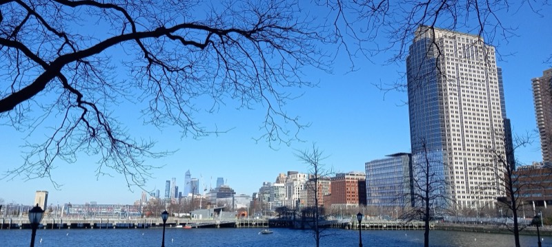 Bare tree branches arching against a clear blue sky above black globe lamps and leafless young trees at the water's edge, a small boat on the dark blue river, and across it a long pier, glass and brick buildings, a tall pale-stone tower and distant skyscrapers