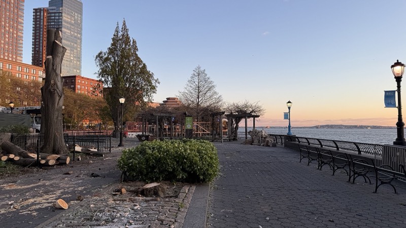 A tall tree trunk cut off above head height near South Cove, its logs on the ground beside a hedge, the pergola and the river behind at sunset